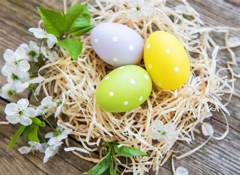 Nest with easter eggs 4370710 Stock Photo at Vecteezy