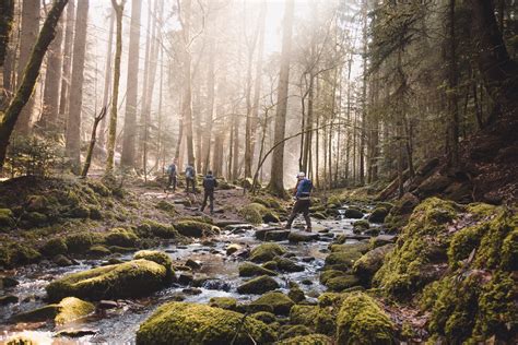 Went on a hike in Germany’s Black Forest : r/CampingandHiking