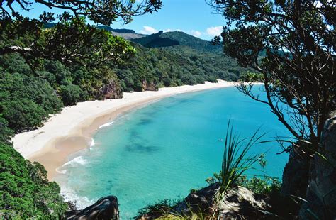 New Zealand Beaches Weird Beach