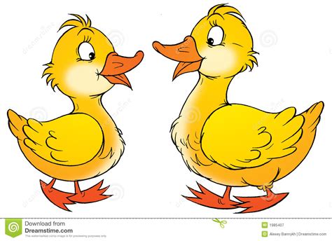 2 ducks clipart 28 free Cliparts | Download images on Clipground 2024