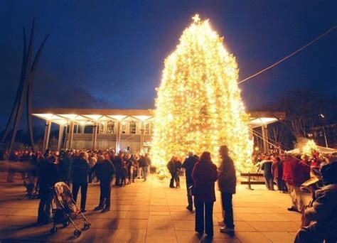 Bethlehem's Christmas decorations to adorn all areas by Friday ...