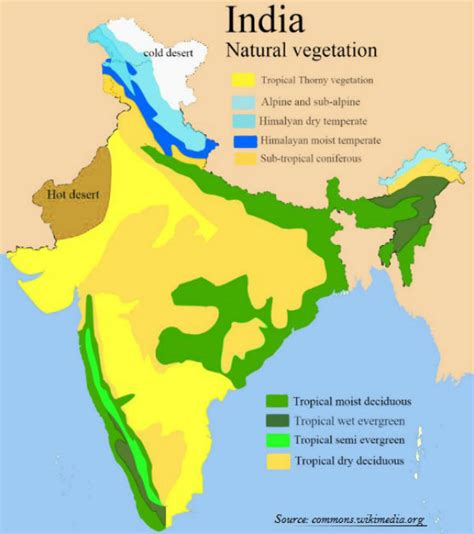 Tropical Evergreen Forest Map