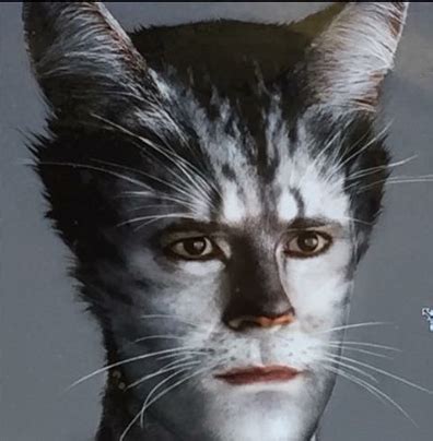 Munkustrap - 2019 Movie | 'Cats' Musical Wiki | Fandom