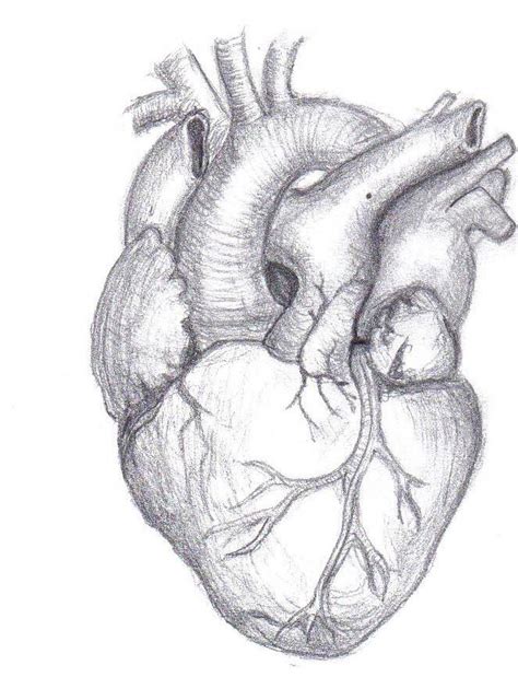 Images of SKETCH of HEART - JapaneseClass.jp