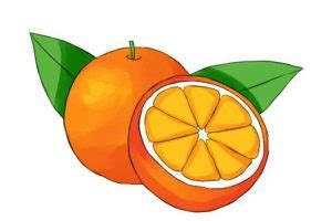 Orange Drawing: Easy, Slice, Simple and Step by Step