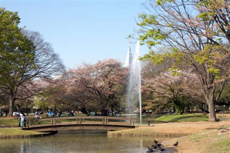 The Ins and Outs of Yoyogi Park | Guides, Day Trips from Tokyo