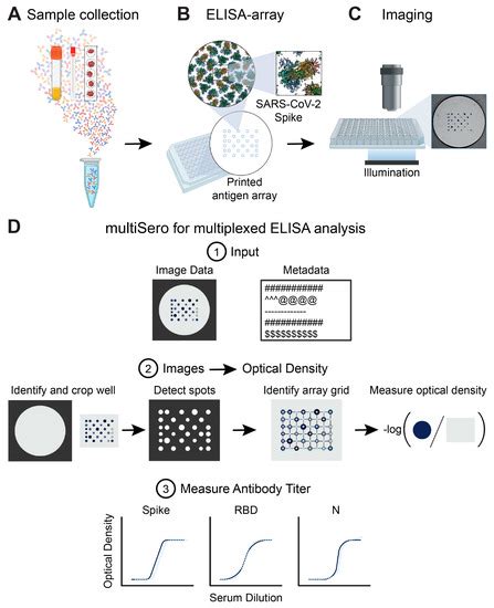 Pathogens | Free Full-Text | MultiSero: An Open-Source Multiplex-ELISA ...