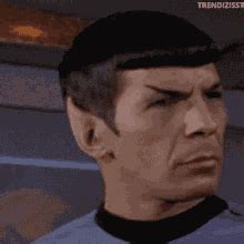 Spock Eyebrow GIFs | Tenor