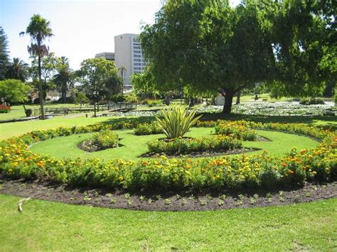 Queens Gardens (Perth): UPDATED 2020 All You Need to Know Before You Go ...