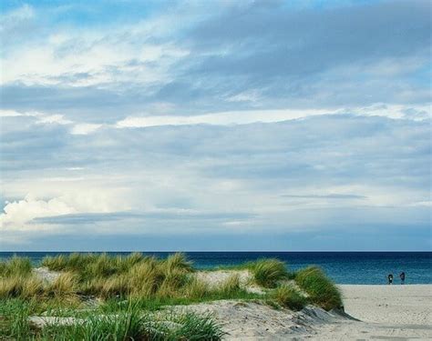 Best Beaches in Provincetown and Outer Cape Cod - Green With Renvy