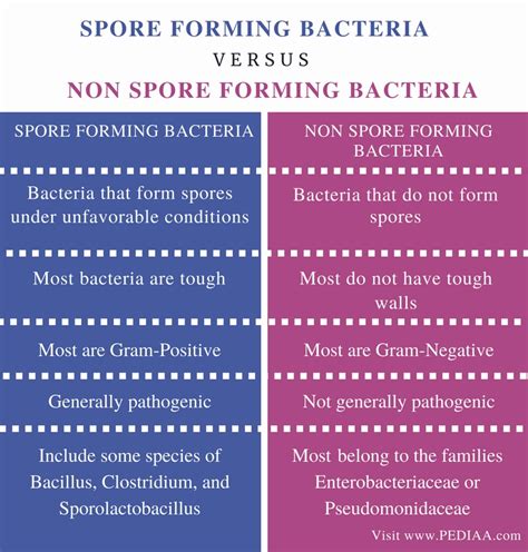 Difference Between Spore Forming Bacteria and Non Spore Forming ...