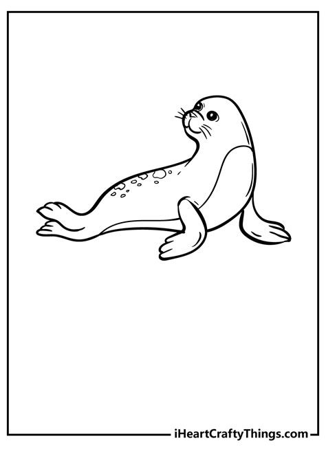 Seal Coloring Sheet