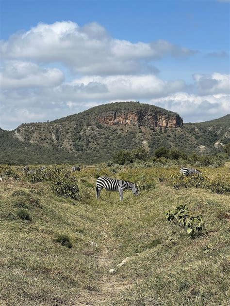 Hell's Gate National Park » Rustic Nature Tours