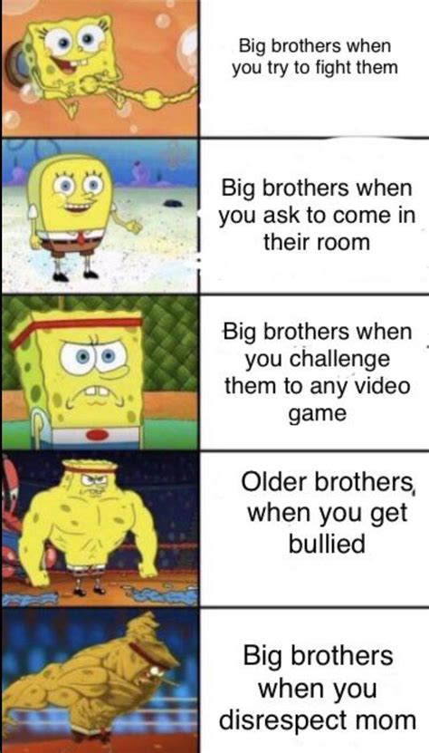 There needs to more big brother memes : r/memes