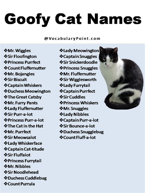 270+ Funny And Cute Cat Names - Vocabulary Point