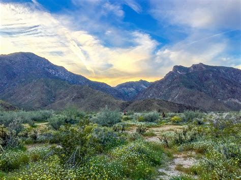 Anza Borrego State Park California – HilaryStyle