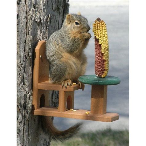 Songbird Essentials Recycled Poly Squirrel Table and Chair Feeder ...