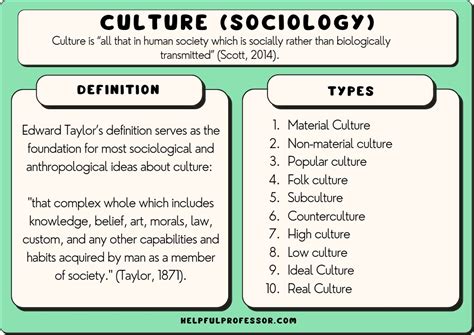 17 Types of Culture (2024)