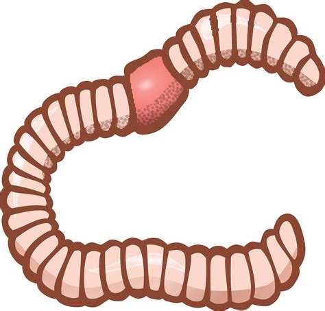 Free Clipart Of An earthworm