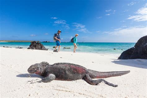 Enchanted Galapagos Islands - 2024 - Hugh Rose Photography