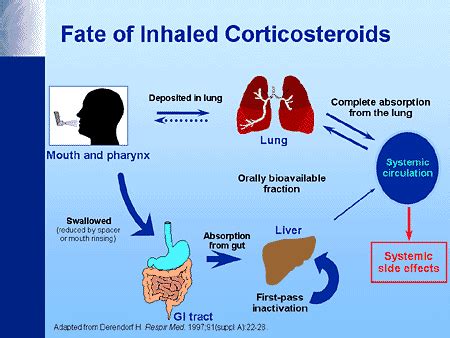 corticosteroids - meddic