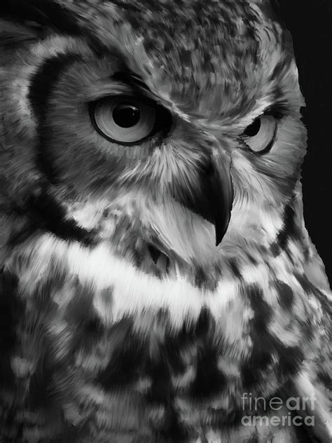 Owl In Black and White Art & Collectibles Prints trustalchemy.com