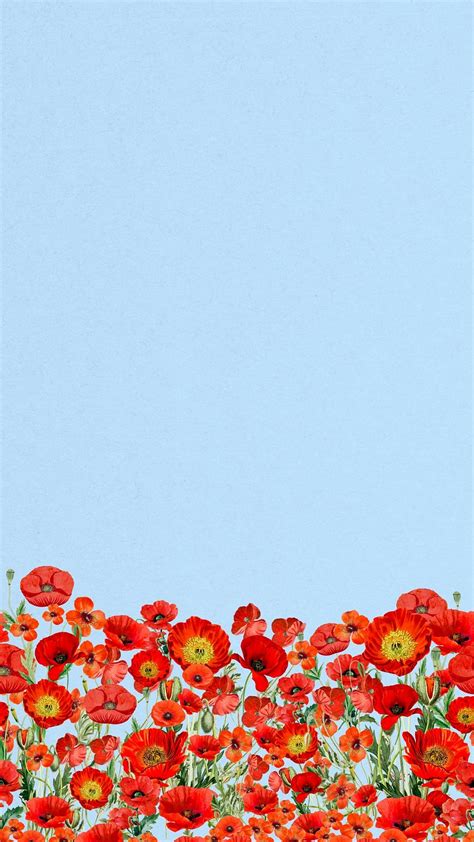 Poppy flower border phone wallpaper, | Premium Photo - rawpixel