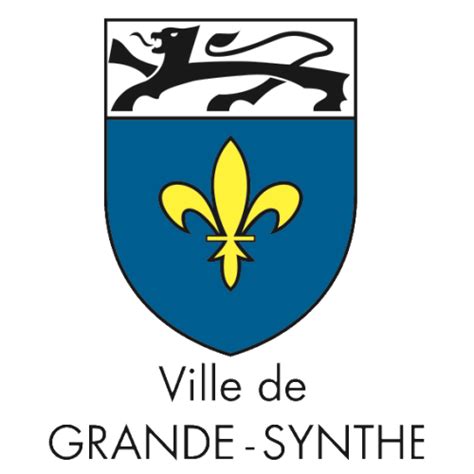 logo mairie de grande synthe – les Yeux d'Argos