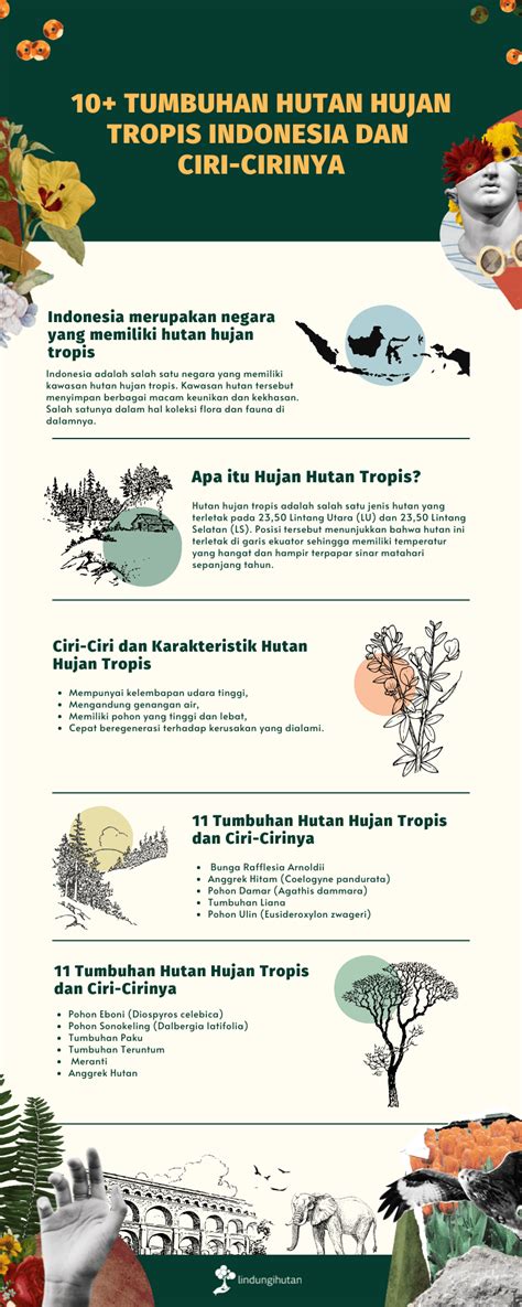 10+ Tumbuhan Hutan Hujan Tropis Indonesia dan Ciri-cirinya