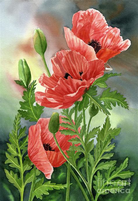 Three Red Orange Poppies with Leaves Painting by Sharon Freeman - Fine ...