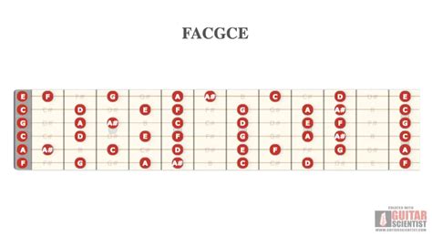 How Many Guitar Tunings Are There? - Stay Tuned: Guitar Blog