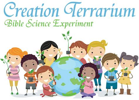 Bible Science Experiment: Creation Terrarium - Christianity Cove