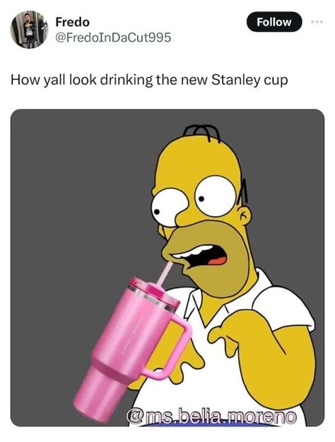 20+ Funny Stanley Cup Memes To Keep You Sipping And Smirking Through ...