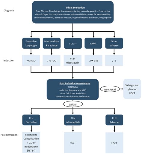 Current Oncology | Free Full-Text | Management of Acute Myeloid ...