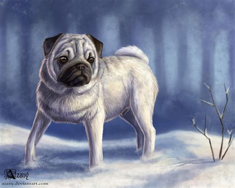 Snow pug by Azany on DeviantArt