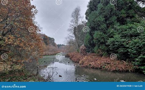 Stover Country Park Stover,Â Newton Abbot,Â Devon Stock Photo - Image ...