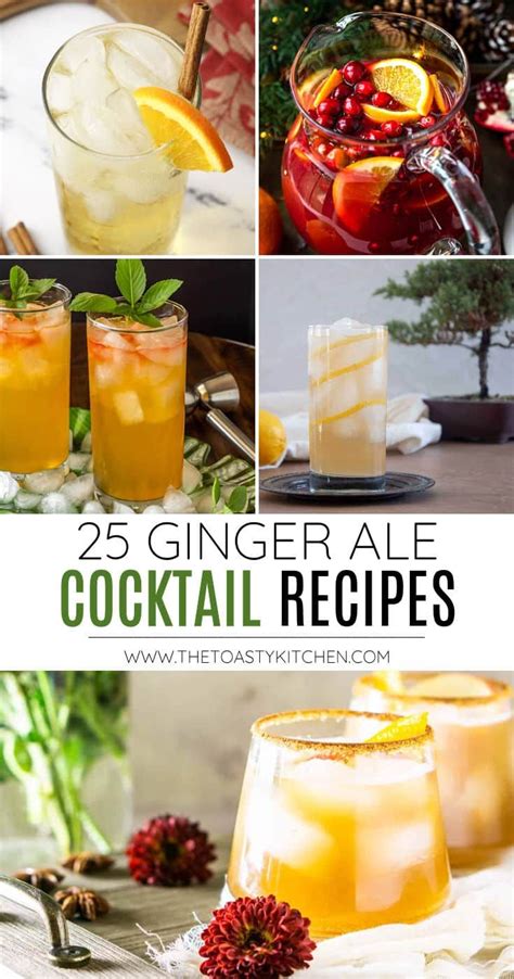 25 Ginger Ale Cocktails | Ginger ale cocktail, Ginger ale mixed drinks ...