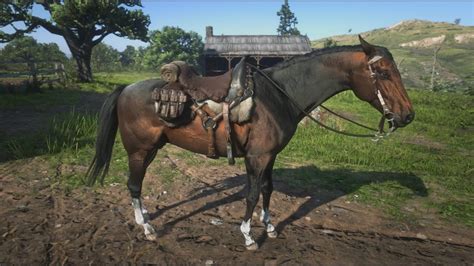 How To Get The Turkoman Dark Bay Horse For Arthur Red Dead Redemption 2 ...