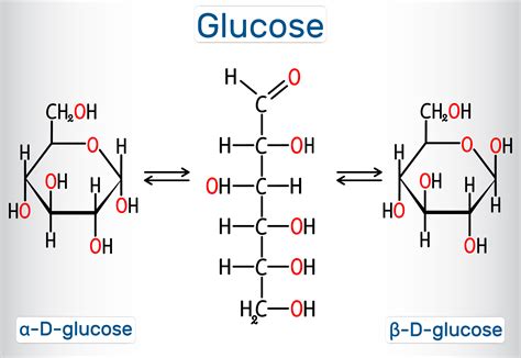 What is Biomolecules - Definition of Biomolecules, Notes, Examples, Books