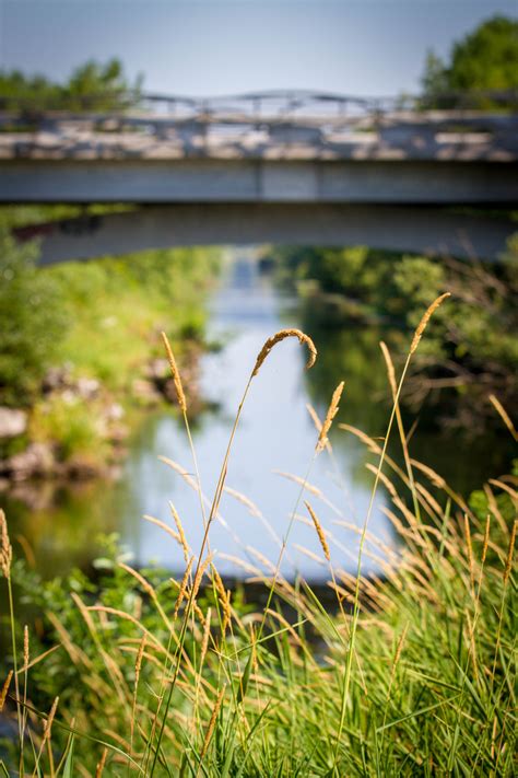 Random photo post: Sammamish River Trail