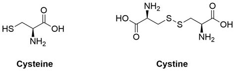 Cysteine (and Cystine) – Chemtymology