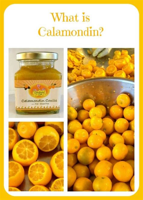 What is Calamondin? | Cupcake Project