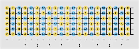 How to Master Guitar Fretboard Notes - Beginner Guitar HQ