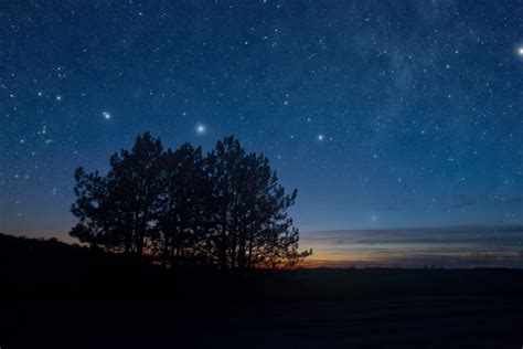 Night Tree Silhouette Stars Royalty Free Photo