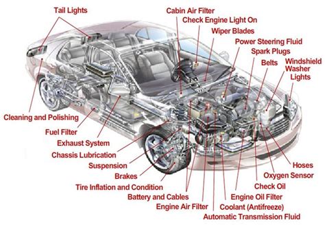 Underside Of A Car Diagram