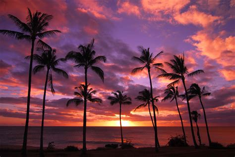 Maui Beach Sunset Wallpaper - WallpaperSafari