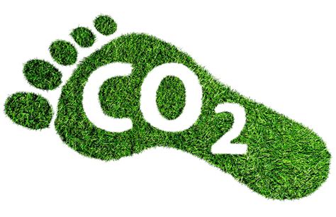 5 Ways to Reduce your Carbon Footprint this Summer – MassEnergize