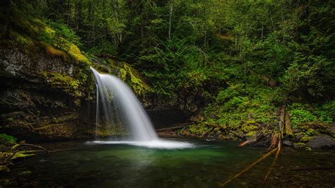 Greenery Waterfall And Foliage Green Trees 4K 5K HD Nature Wallpapers ...