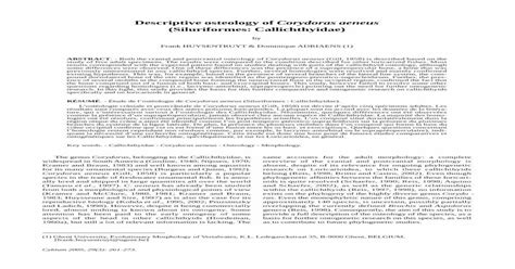 (PDF) Descriptive osteology of Corydoras aeneus (Siluriformes ...