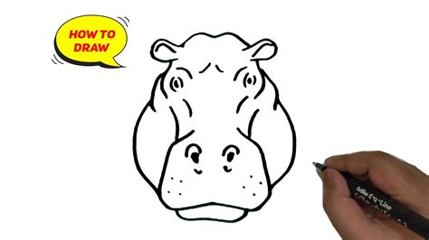 Hippopotamus head line drawing.| Hippopotamus face drawing lesson ...